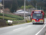 Hoshino2010 227