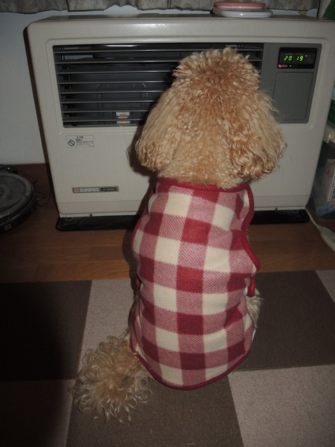 2019-12-3 MINA 02