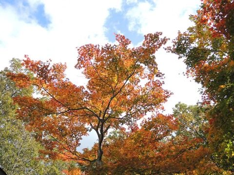 2014-10-28 KOYO