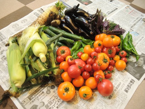 2017-7-31 VEGITABLE