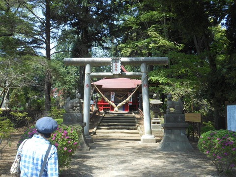 2018-4-23 D JINJA