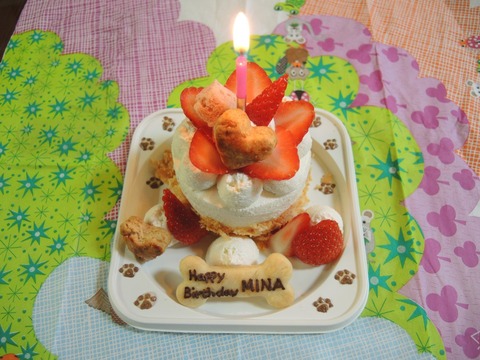 2017-6-14 CAKE01
