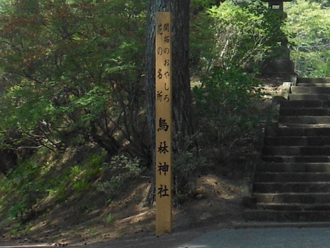 2018-4-23 C HYOSIKI