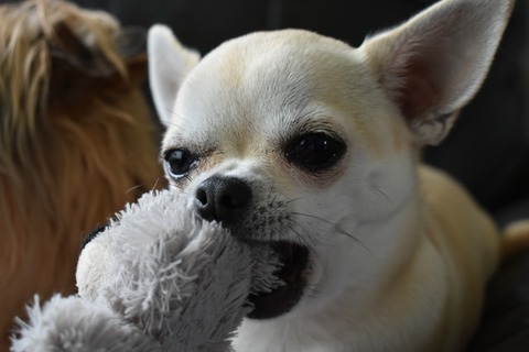 james-homans-dd62HlRML9Y-unsplash