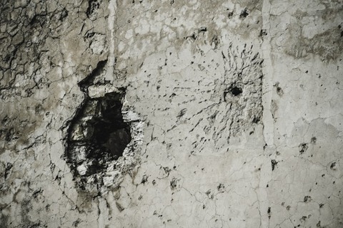 pavel-neznanov-HZectHETRXI-unsplash