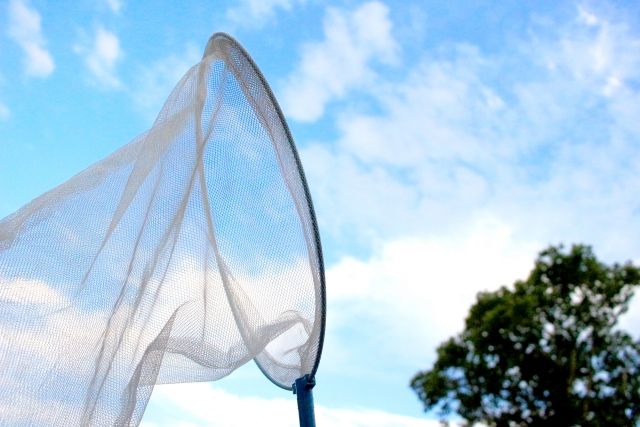 コナン アニオリ 昆虫人間のヒミツ 回がカオスだと話題ｗ感想 反応まとめ 浦沢義雄 つぶちゃん Twitterまとめ