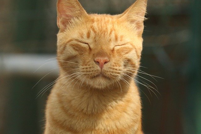 Mステ 金髪の菅田将暉がかっこよすぎると話題 反応まとめ まちがいさがし つぶちゃん Twitterまとめ