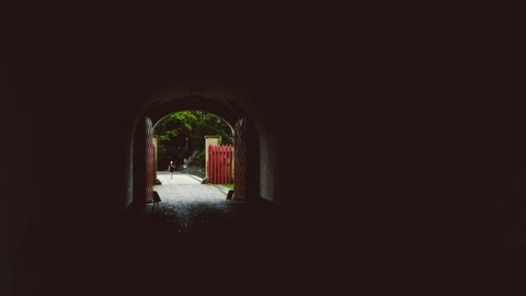 shane-rounce-wpcixeepD44-unsplash