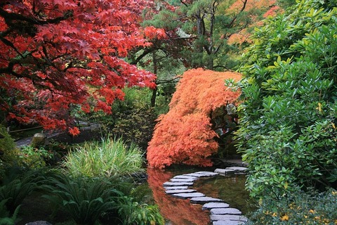 japanese-garden-2898777_640