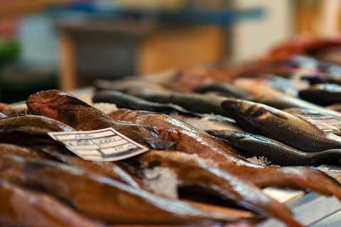 fish-market-3408397_640