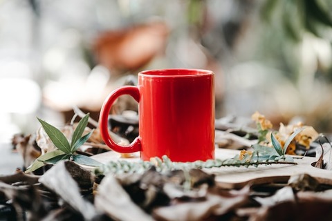 jethro-carullo-dpnmaQ32zG0-unsplash