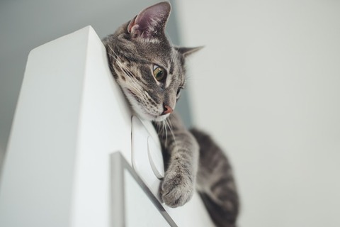 kazuky-akayashi-p184vYrKCEk-unsplash