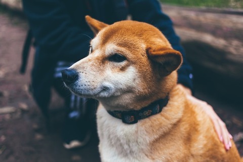 christal-yuen-Aka2x2D4Ph0-unsplash