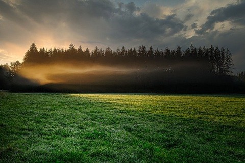 fog-5622894_640