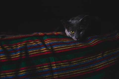 dark-2562483_640
