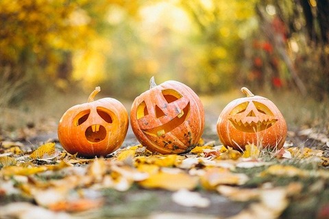 pumpkin-gd8b7c0ffe_640