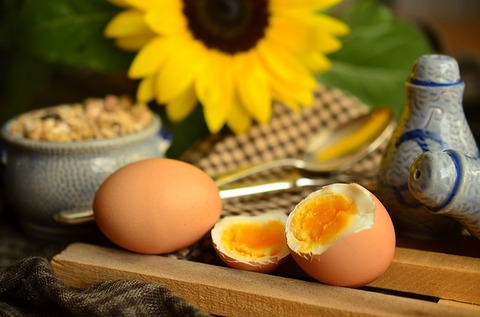 egg-869300_640