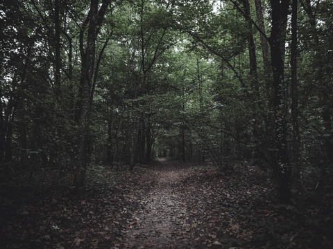 tom-morel-8Q3Umbnr8DU-unsplash