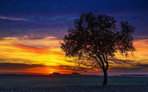 sunset-3067567_640