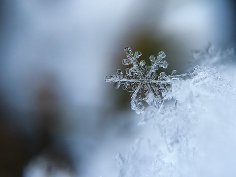 aaron-burden-5AiWn2U10cw-unsplash