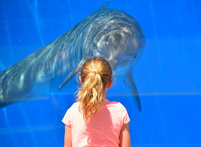 マツコの知らない世界 水族館 かき氷 心霊ビジネス 回が話題 感想 反応まとめ 名古屋港水族館 山口敏太郎 つぶちゃん Twitterまとめ マツコの知らない世界 水族館 かき氷 心霊ビジネス 回が話題 感想 反応まとめ 名古屋港水族館 山口敏太郎 つぶちゃん Twitterまとめ