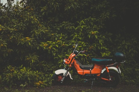 pexels-loifotos-2044877