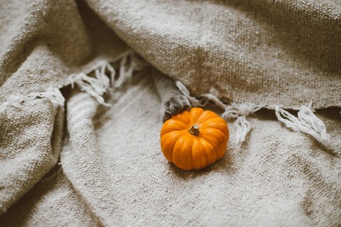 yulia-chinato-fWTwGRXQzI8-unsplash
