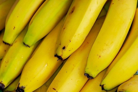 bananas-3474872_640