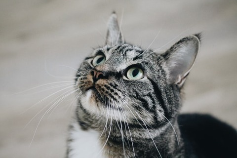 erik-jan-leusink-2U43VoxAcTU-unsplash