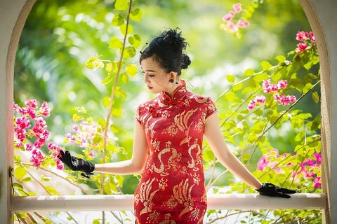 cheongsam-g6d14310e3_640