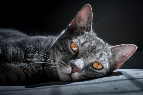 matheus-queiroz-UhxJSJmT1R4-unsplash