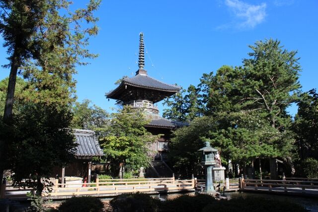 アナザースカイii 大泉洋 徳島 香川 前編 回が話題 感想 反応まとめ 水曜どうでしょう つぶちゃん Twitterまとめ