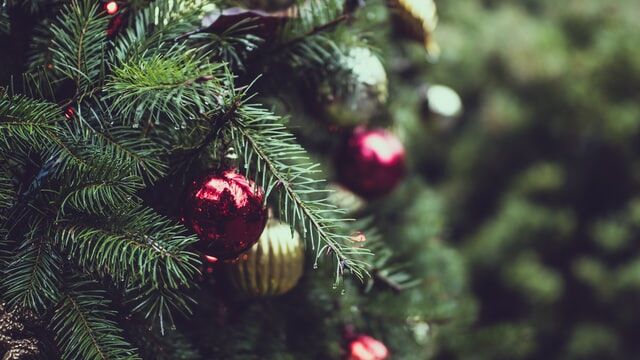 Cdtv クリスマスツリーになって歌うkinki Kidsが話題ｗ感想 反応まとめ 鹿せんべい シンデレラクリスマス つぶちゃん Twitterまとめ