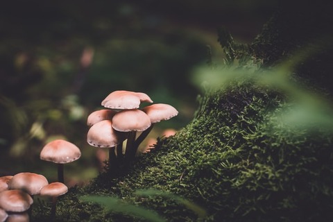 presetbase-lightroom-presets-QN6NkYi3CKs-unsplash
