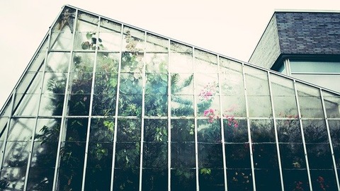 greenhouse-1246536_640