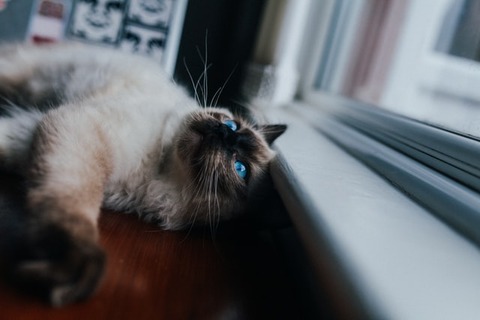josh-couch-y9zUTieUc-U-unsplash