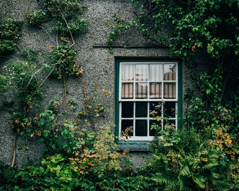 greg-willson-_mTRCTrkmTE-unsplash