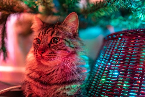 andreas-brun-mHyROUYVSmE-unsplash