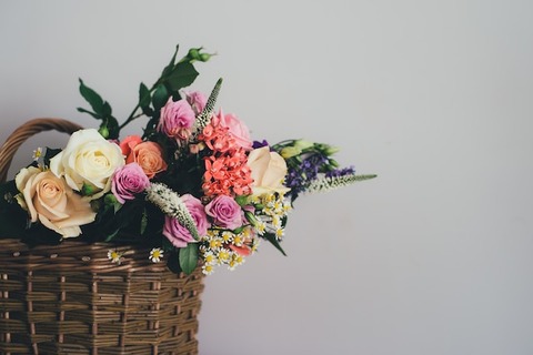 annie-spratt-KQ6sO8m1ZDE-unsplash