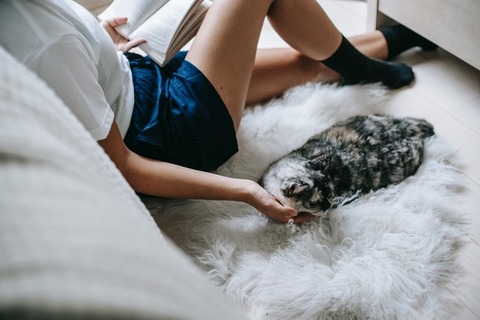 pexels-sam-lion-6001187