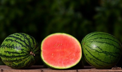 melon-2691415_640