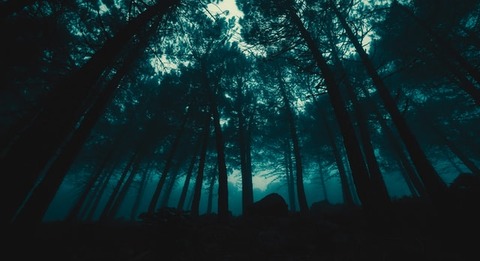 jr-korpa-_OQ8Jc7kBmA-unsplash
