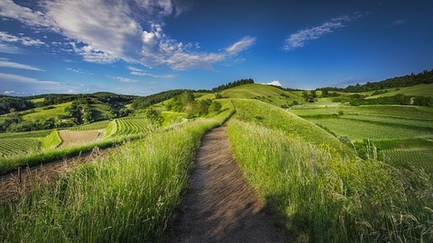 countryside-1868781_640