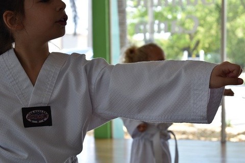 martial-arts-4255007_640