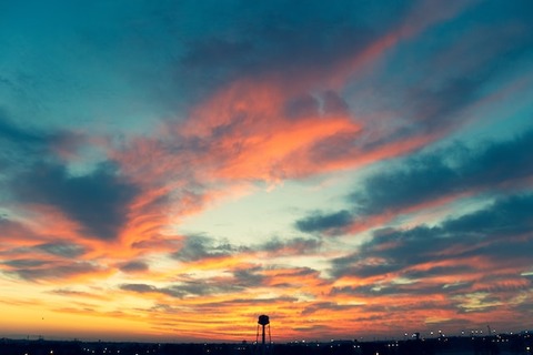 majid-hajiloo-NOFgpbAjMQs-unsplash