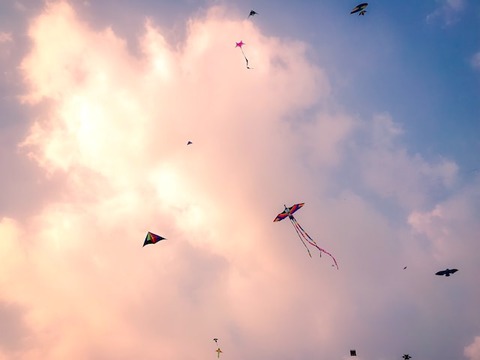 phuong-uyen-vo-hoang-mBKmnETdk8M-unsplash