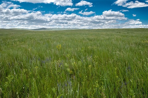 landscape-4739994_640