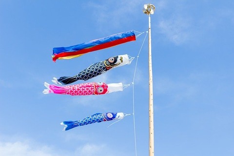 carp-streamer-2259553_640