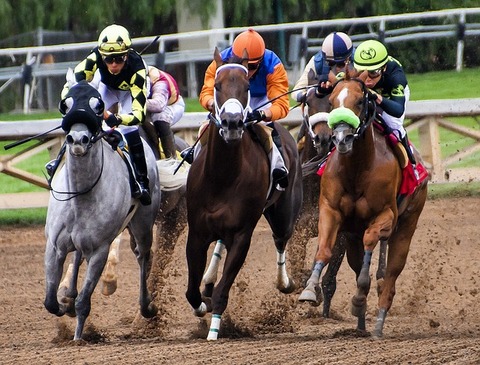 horses-3811270_640