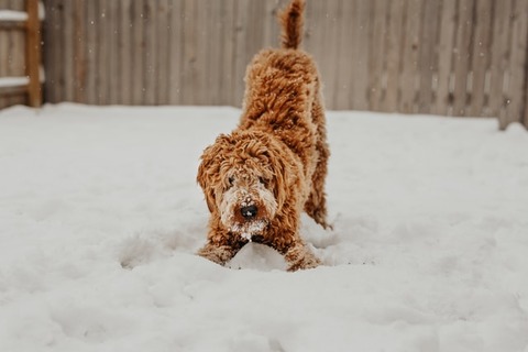 brooke-cagle-Tbf7H8d2YcU-unsplash